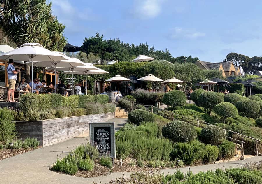 Waiheke Island: Premium Vineyard, Wine Tasting and Bush Walk - Booking flexibility and the language of the tour