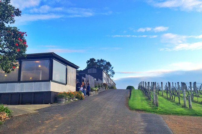 Waiheke Island Premium Wine Tour with Tastings - Waiheke Wine Tour: Key Points at a Glance