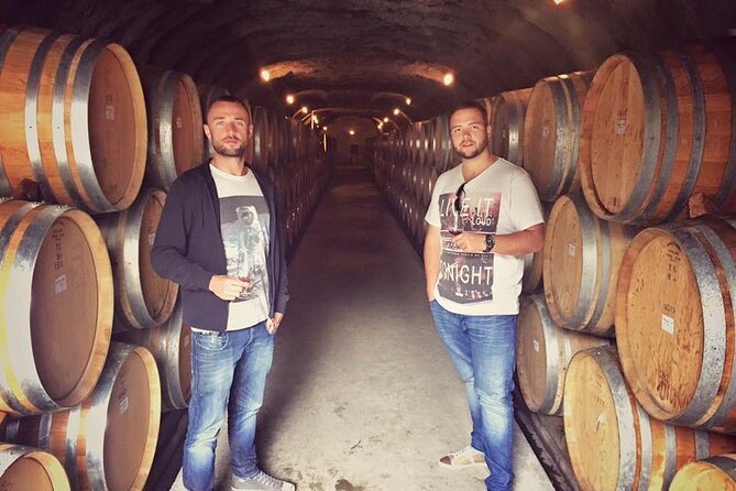 Waiheke Island Premium Wine Tour with Tastings - Tasting Rooms, Views, and Vineyard Character
