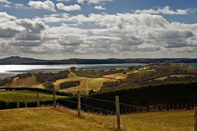 Waiheke Island Private Art Tour - Gabriella Lewenz Studio Gallery and the artist’s viewpoint