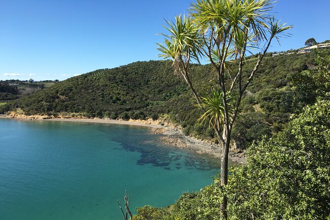 Waiheke Island Private Double Headland Walk - The southern route through Church Bay