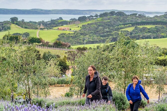 Waiheke Island Private History and Heritage Tour - Carving, tā moko, and Māori language