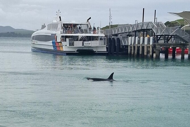 Waiheke Island Private Tours - Why a private Waiheke tour makes sense