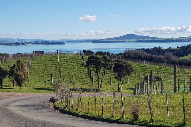 Waiheke Island Private Tours - Briar’s jazz soundtrack