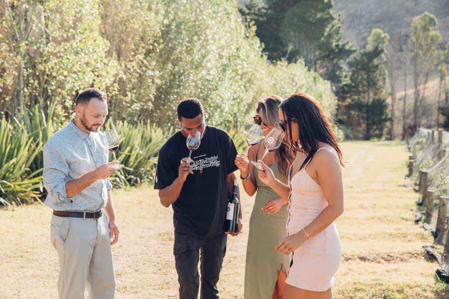 Waiheke Island: Scenic Island Wine Tour & Local Wine Tasting - Waiheke wine country without the driving