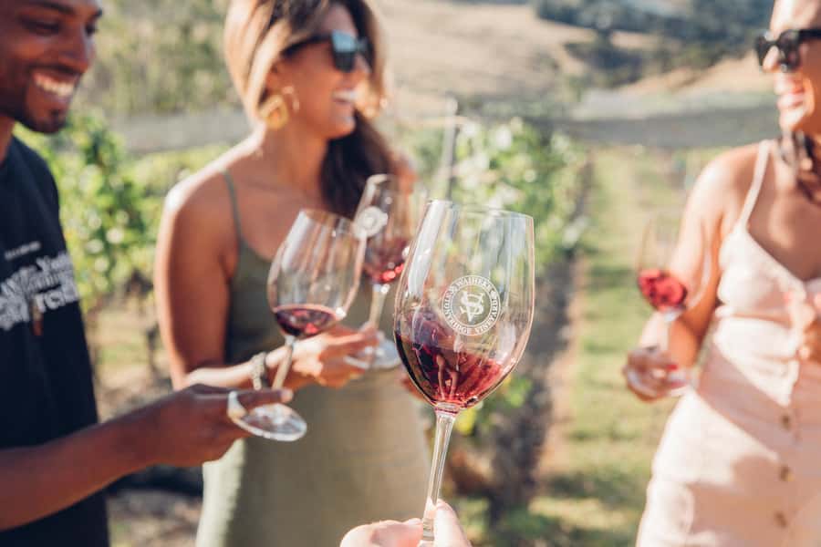 Waiheke Island: Scenic Island Wine Tour & Local Wine Tasting - The first tastings set the rhythm