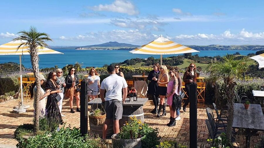 Waiheke Island: Scenic Island Wine Tour & Local Wine Tasting - The final wineries bring the best comparison