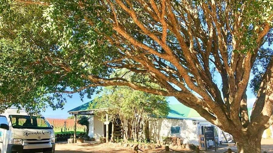 Waiheke Island: The Essence of Waiheke Wine Tour - Lunch beside Onetangi Beach