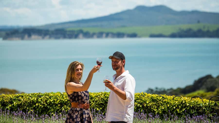 Waiheke Island: The Essence of Waiheke Wine Tour - Ferry timing needs careful planning