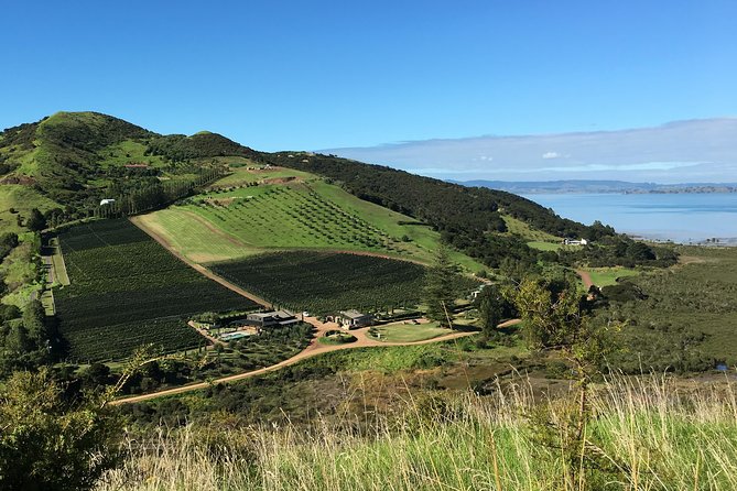 Waiheke Island Vineyards and Bush Walk - Key points at a glance