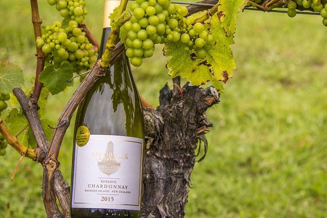 Waiheke Island Vineyards and Bush Walk - Mudbrick or Cable Bay for wine tasting