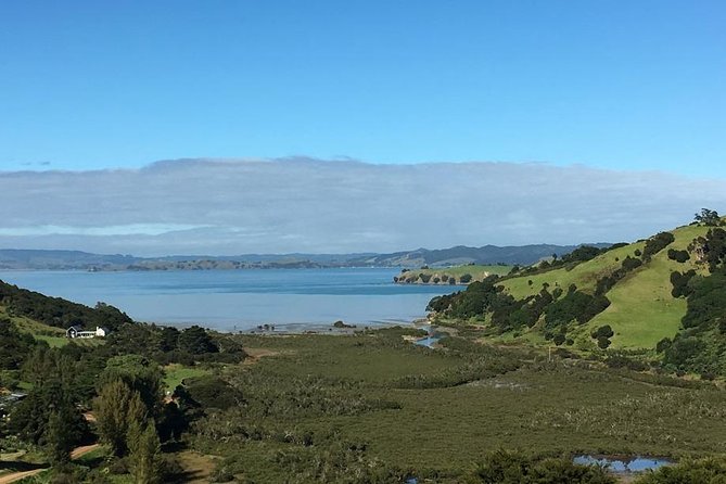 Waiheke Island Vineyards and Bush Walk - What the guides add to the day
