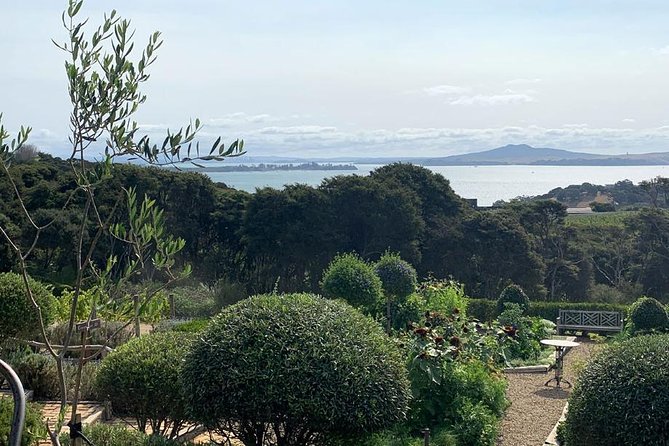 Waiheke Island Vineyards and Bush Walk - Is $279.26 good value?