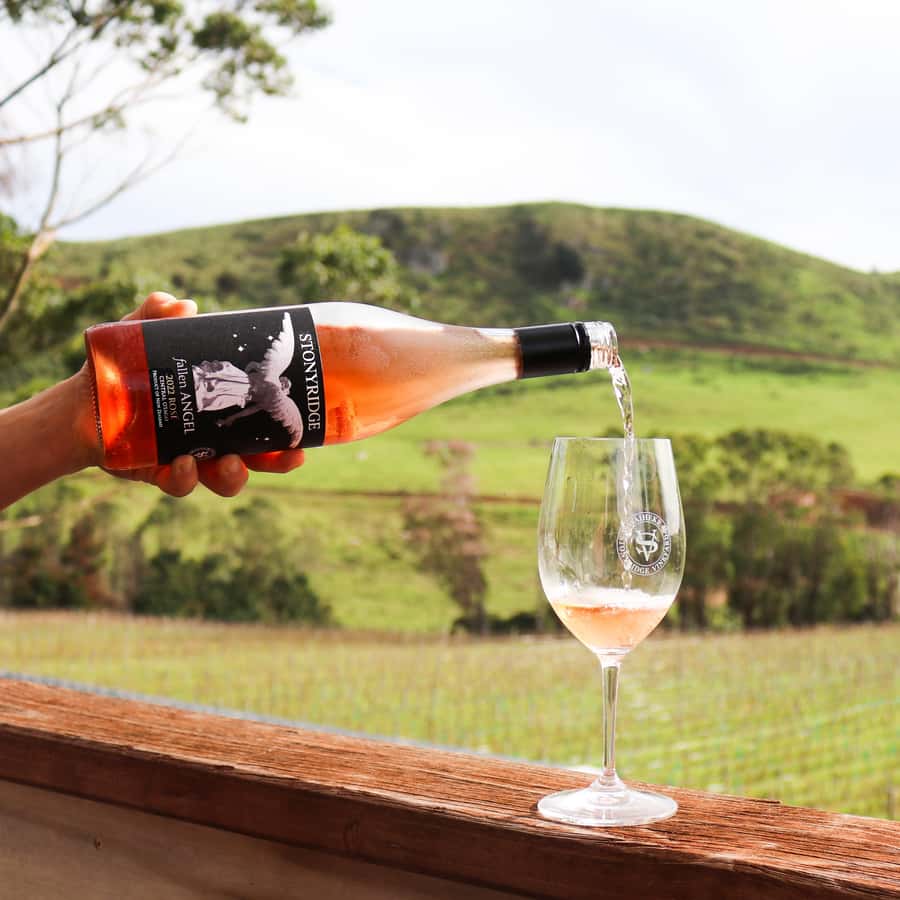 Waiheke Island: Wine Tour & Lunch at Award Winning Venue - Key things to know before you book