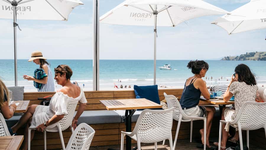 Waiheke Island: Wine Tour & Lunch at Award Winning Venue - Who should book this Waiheke wine tour?