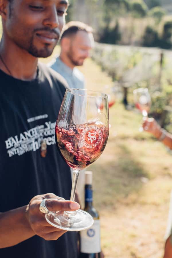 Waiheke Island: Wine Tour & Lunch at Award Winning Venue - Three cellar doors, three different moods