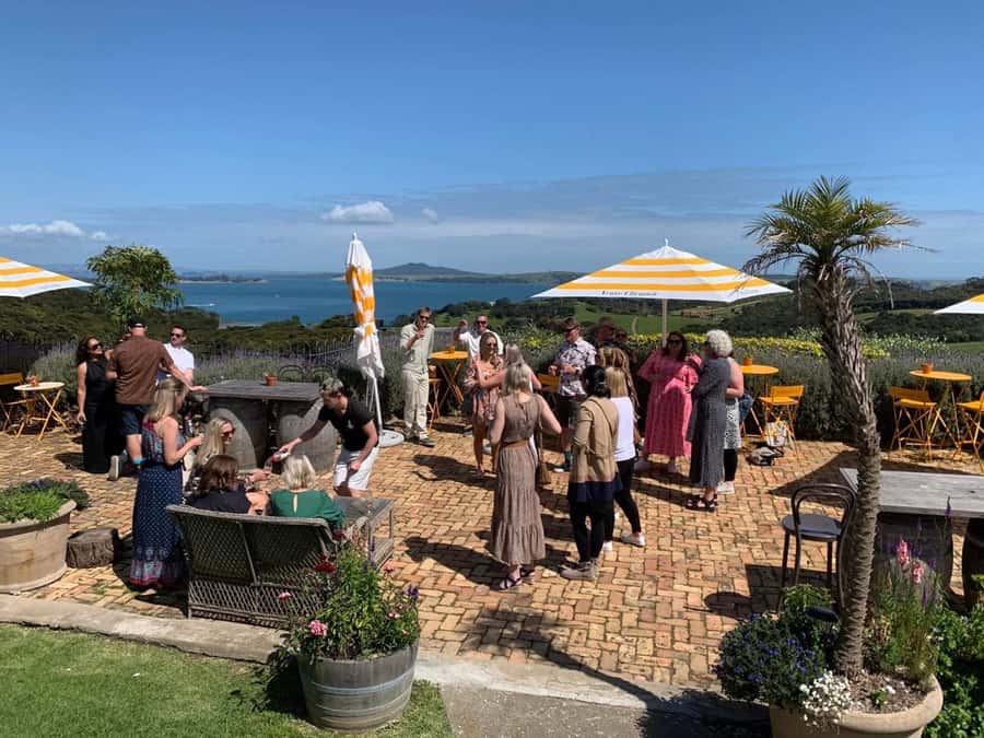 Waiheke Island: Wine Tour & Lunch at Award Winning Venue - How much value is packed into $173?