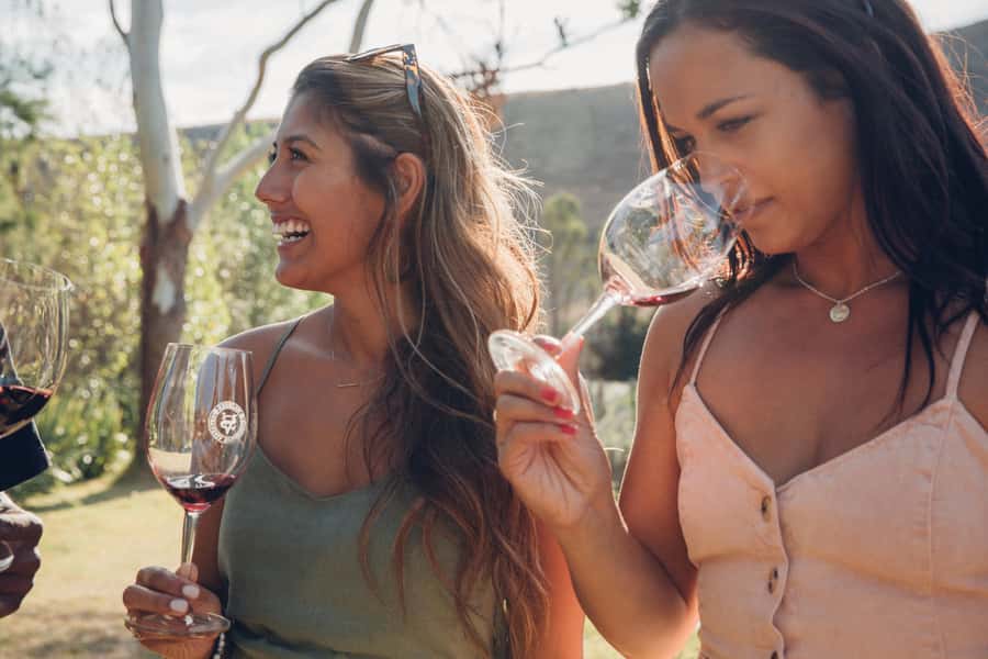 Waiheke Island: Wine Tour & Lunch at Award Winning Venue - The guide can shape the whole day