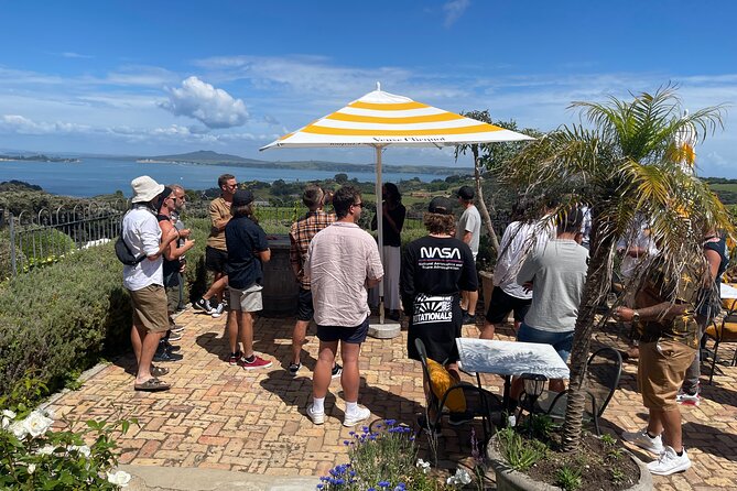 Waiheke Island Wine Tour with Scenic Vineyards & Tastings - The Beach Walk and the Double-Decker Difference