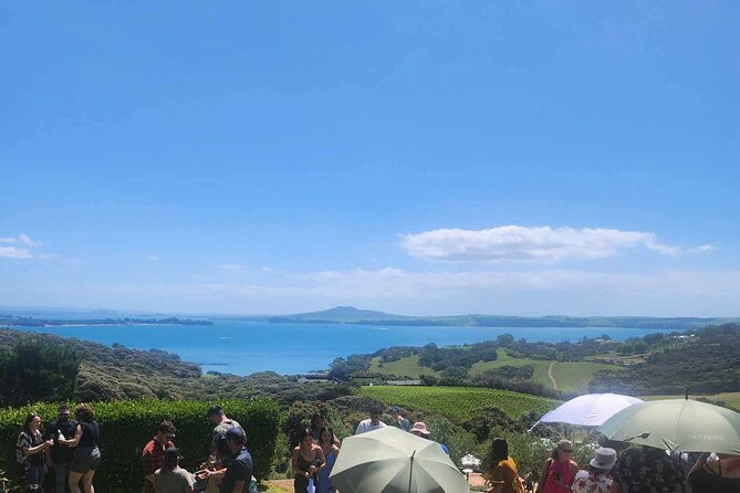 Waiheke Island Wine Tour with Tastings & Gourmet Beachfront Lunch - Key points at a glance