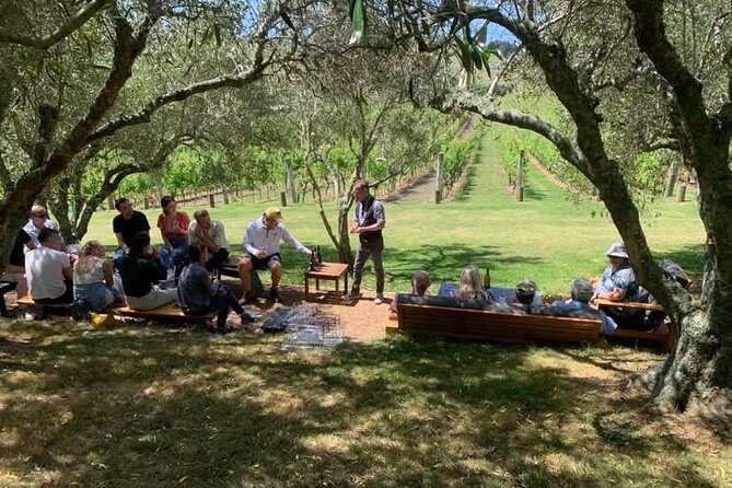 Waiheke Island Wine Tour with Tastings & Gourmet Beachfront Lunch - Stonyridge and its southern European feel