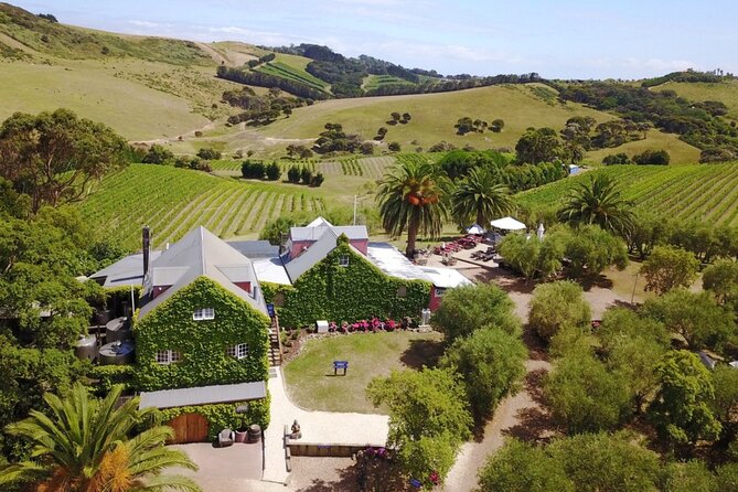 Waiheke Island Wine Tour with Tastings & Gourmet Beachfront Lunch - Timing, transport, and what to bring