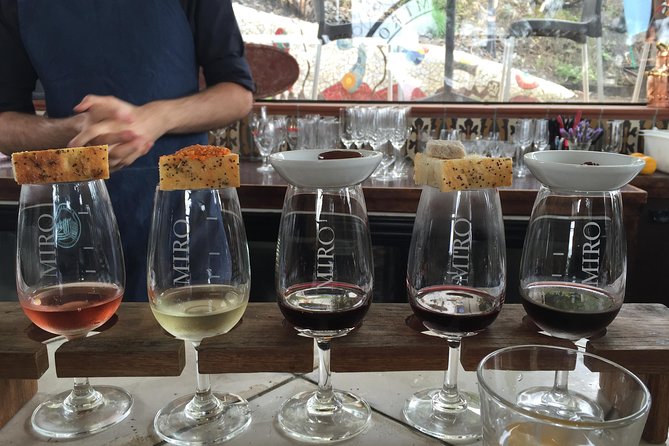 Waiheke island Wine Tours - PREMIUM wine tasting MAX 11 clients ! - Why this tour works as a Waiheke introduction