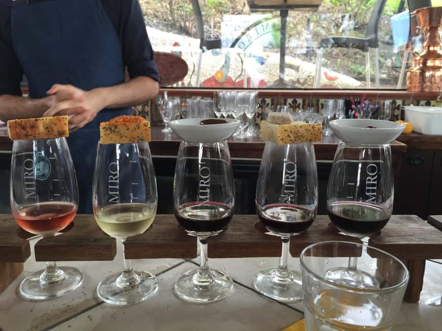 Waiheke Island Wine Tours - PREMIUM Wines - Max 11 clients ! - Key points to know before booking