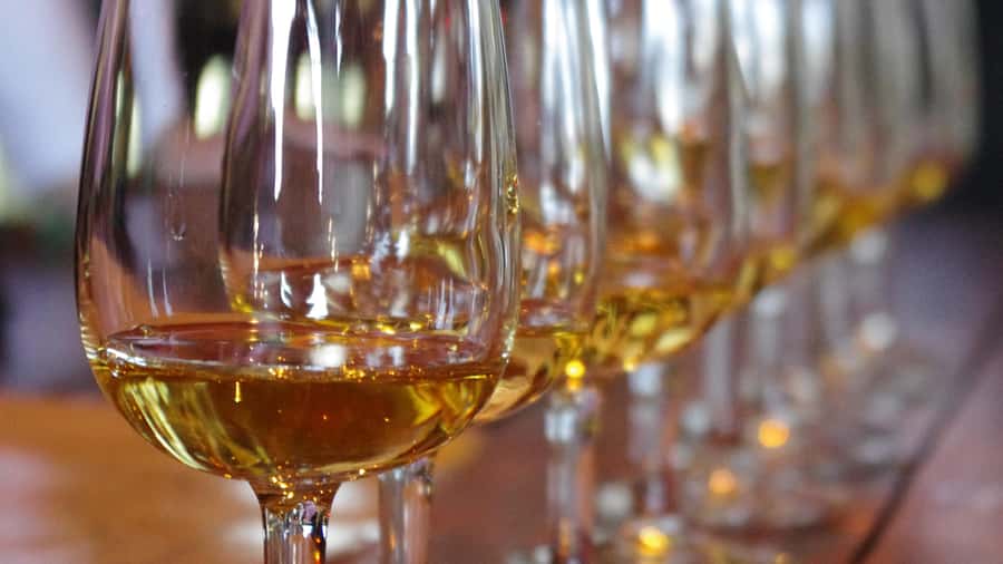 Waiheke Island Wine Tours - PREMIUM Wines - Max 11 clients ! - Why this Waiheke wine day works so well