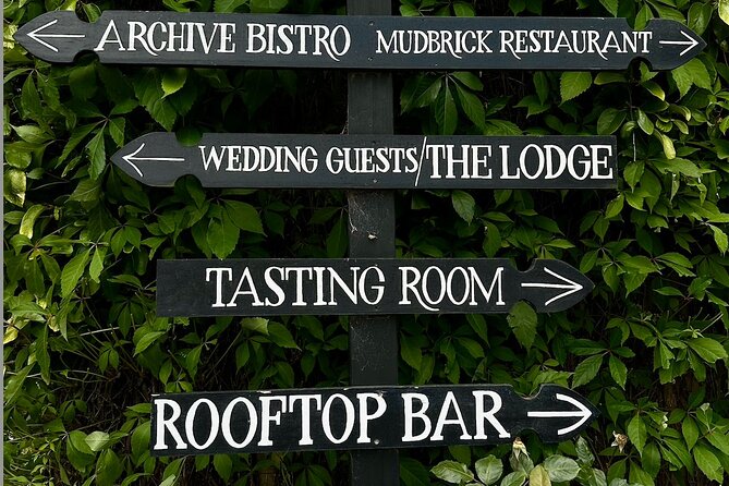 Waiheke island wine tours with Waitiki Tours - What the guide adds beyond the vineyards