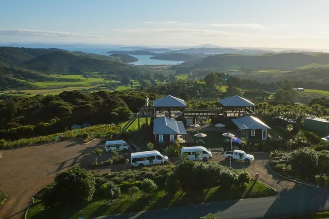 Waiheke Island: Zipline And Forest Walk - Starting at Matiatia and seeing Waiheke by minivan