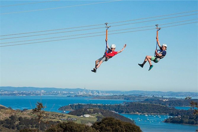 Waiheke Island: Zipline And Forest Walk - Two more lines over valley and forest