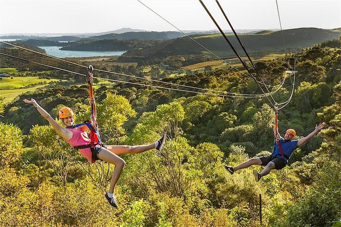 Waiheke Island: Zipline And Forest Walk - How much time and money should you allow?