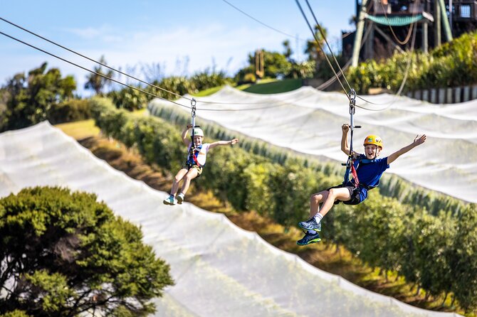 Waiheke Island: Zipline And Forest Walk - Practical tips for a smoother outing