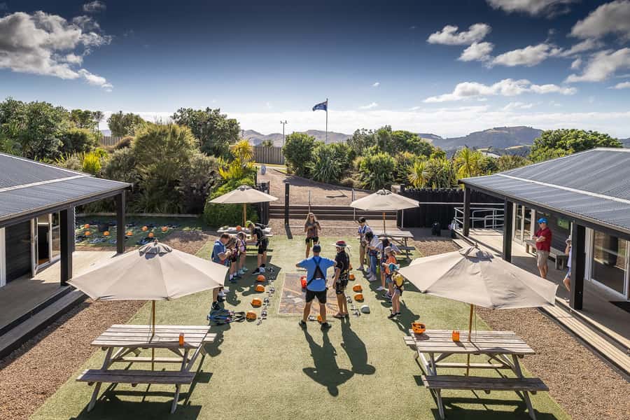 Waiheke Island: Zipline and Native Forest Adventure Trip - What to wear and how to plan the day