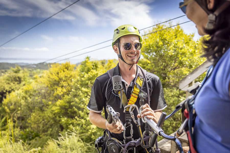 Waiheke Island: Zipline and Native Forest Adventure Trip - Is this Waiheke zipline trip worth booking?