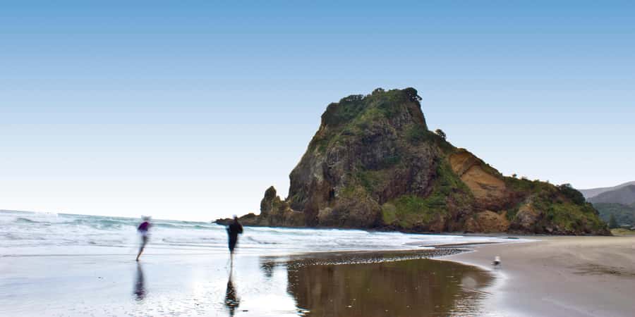 Waitakere Ranges Wilderness Experience Tour from Auckland - Leaving Auckland for the Waitakere Ranges