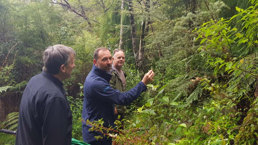 Waitakere Ranges Wilderness Experience Tour from Auckland - Piha Beach and the west coast’s rough edge