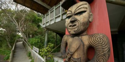 Waitakere Ranges Wilderness Experience Tour from Auckland