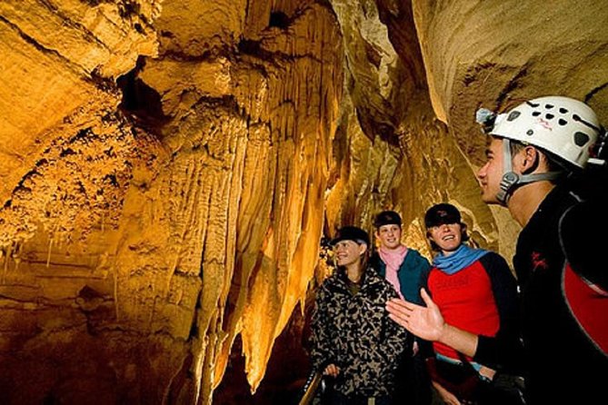 Waitomo Caves Private Driver for Tour - The Auckland to Waitomo drive