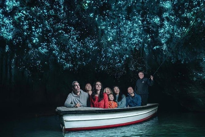 Waitomo Caves Private Tour from Auckland - Key points before you book
