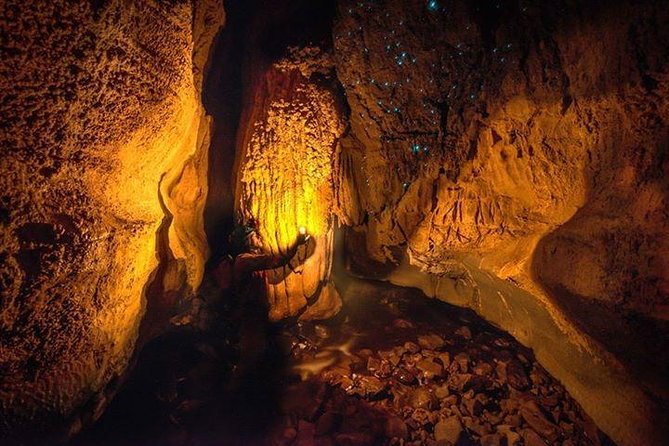 Waitomo Caves Private Tour from Auckland - Why Waitomo’s glowworms are worth the long day