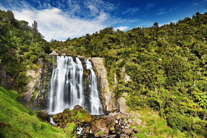 Waitomo Caves Private Tour from Auckland - The private format and Bob’s guiding style