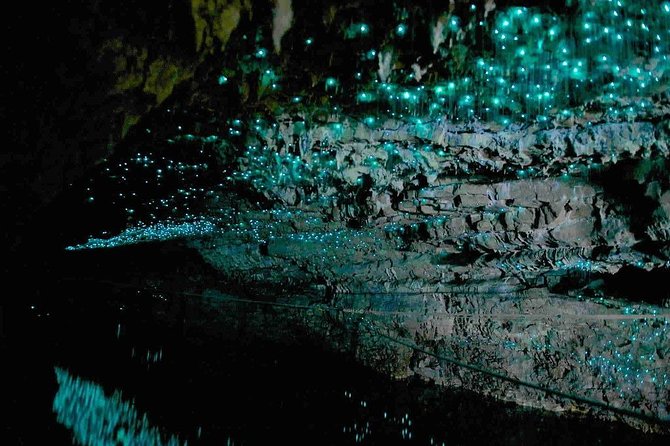 Waitomo Caves Private Tour from Auckland - Weather, road closures, and the strict cancellation rule