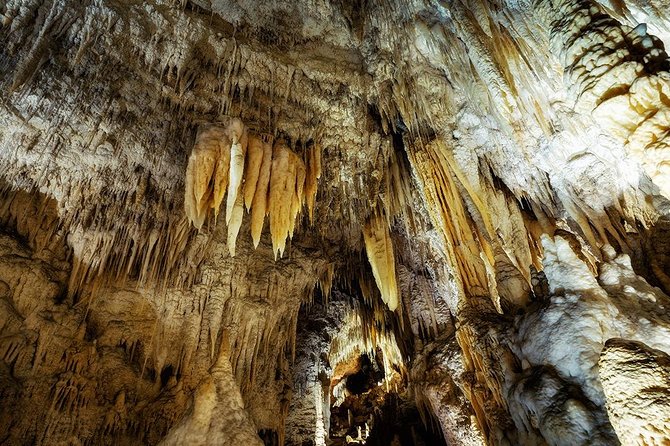 Waitomo Caves & Rotorua - Te Puia Small-Group Tour from Auckland - Why combine Waitomo and Rotorua in one day?