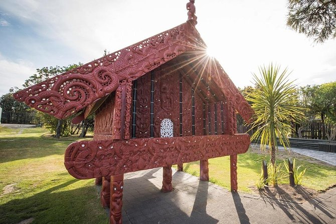 Waitomo Caves & Rotorua - Te Puia Small-Group Tour from Auckland - The return to Auckland