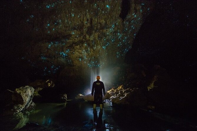 Waitomo Glow Worm Caves - Key points to know before you book