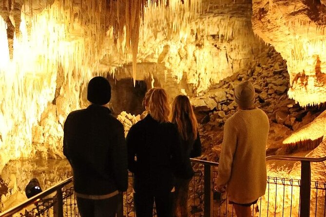 Waitomo Glow Worm Caves - Who will enjoy this trip most