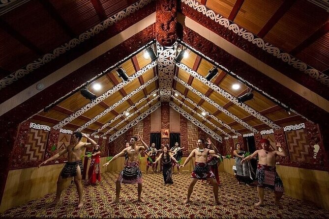 Waitomo Glow Worm Caves & Te Puia (Rotorua) Private Tour - Kiwi viewing adds a valuable native wildlife stop