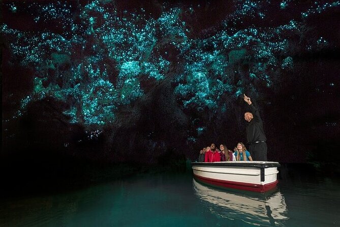 Waitomo Glow Worm Caves - Auckland pickup and the road to Waikato